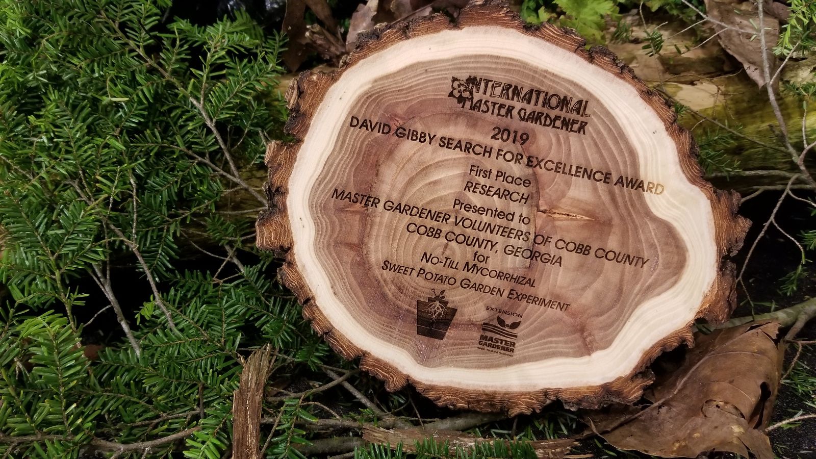 062619_MDJ_2019IMGAwardPlaque.jpg